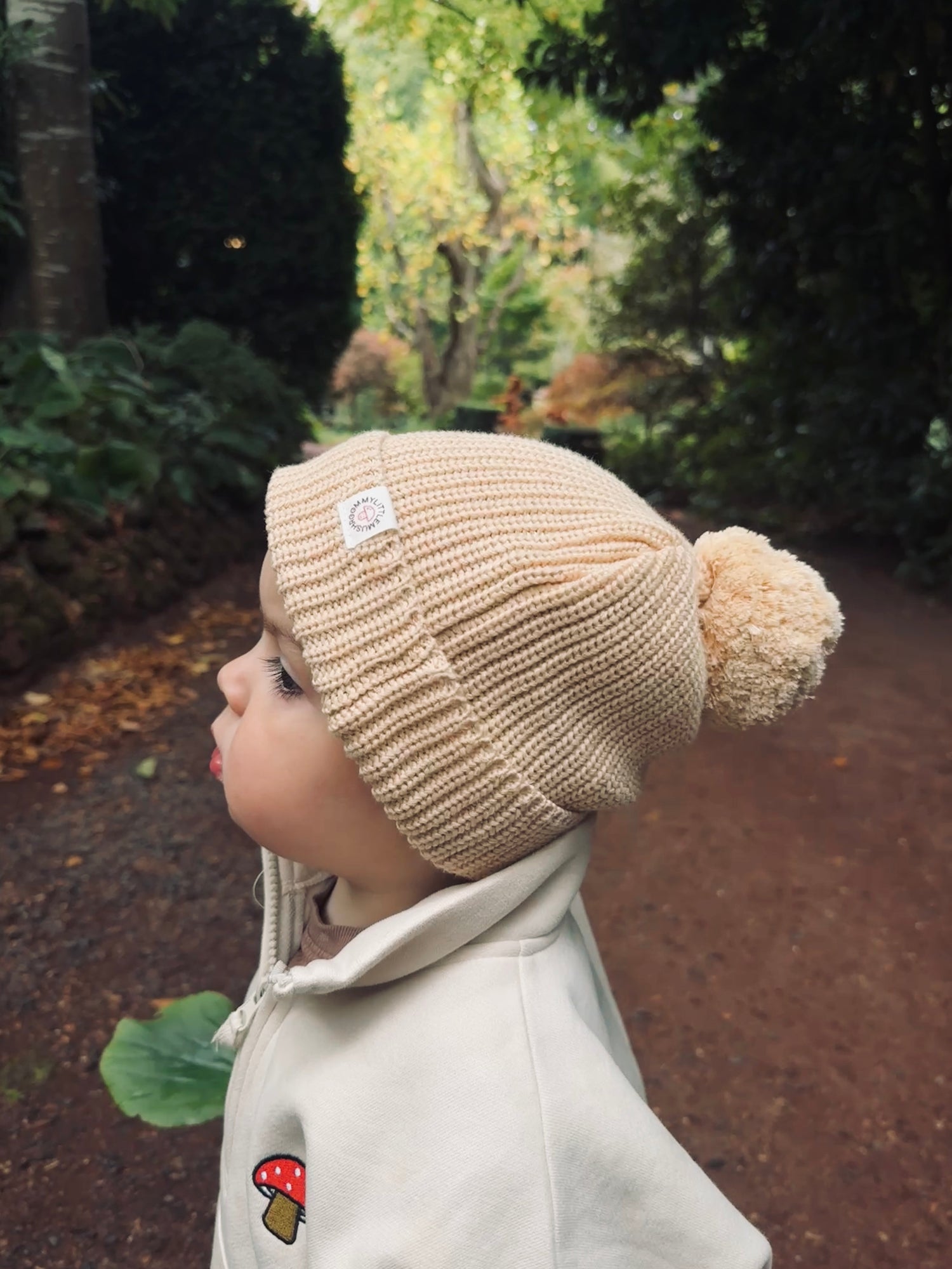 Winter Warmers